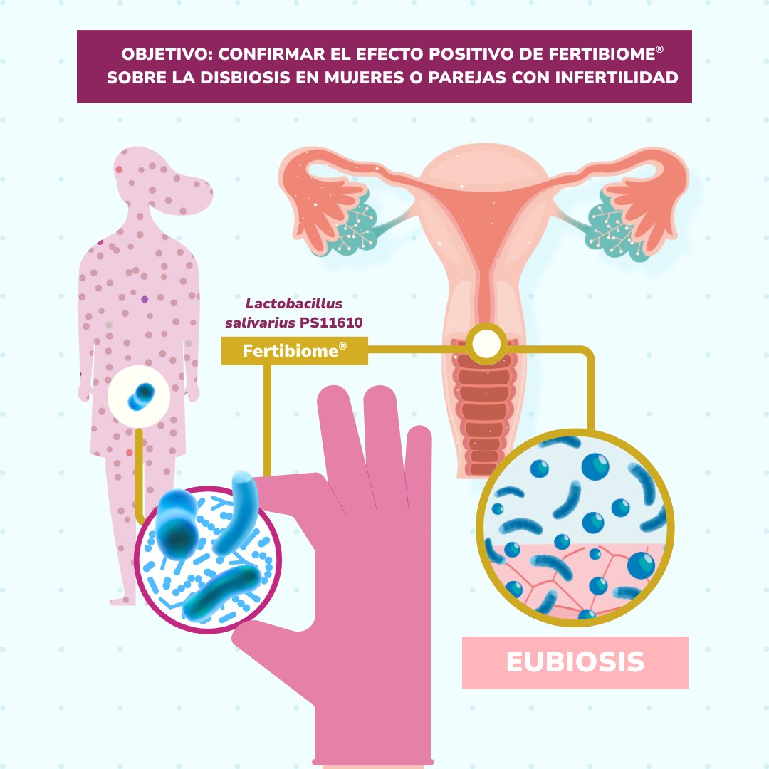 redinfertiles's tweet image. 🧬 ¿Quieres participar?

Está en marcha un ensayo clínico para evaluar Fertibiome, un probiótico oral que ayuda revertir la disbiosis urogenital en la pareja con el fin de mejorar las posibilidades de embarazo.

👉 Dirigido a mujeres o parejas con dificultades para concebir,…