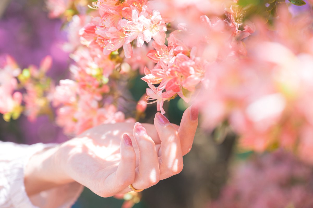 tsumugi_pt999's tweet image. 恋心みたいね。