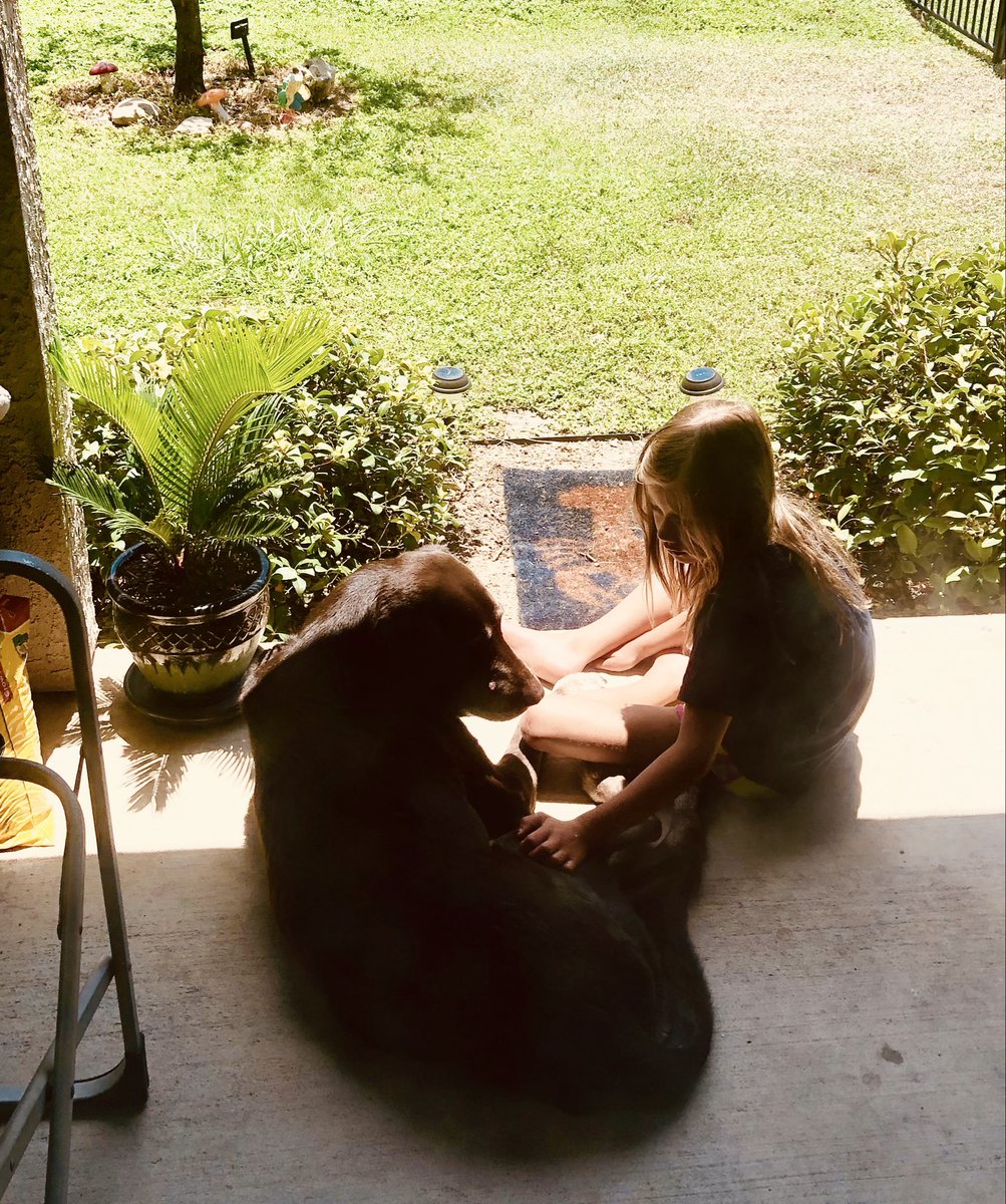 OctopusTrainer's tweet image. The two most beautiful beings in my life π«Άπ½