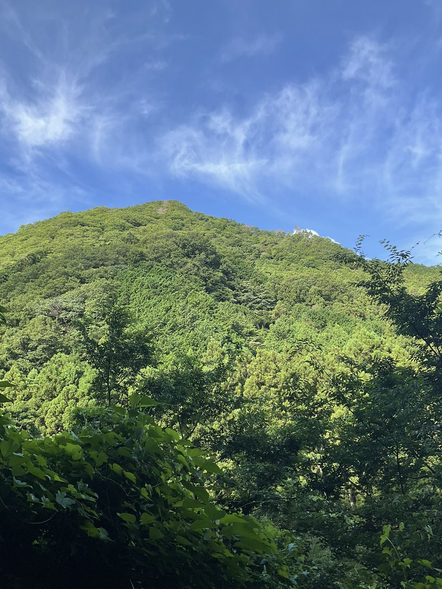 tworice_dai's tweet image. ゆっくりゆっくり三坂峠を下って来ました
あーーーーーーーキツかった!
みんなでお蕎麦を食べました
#四国八十八ヶ所 #歩き遍路