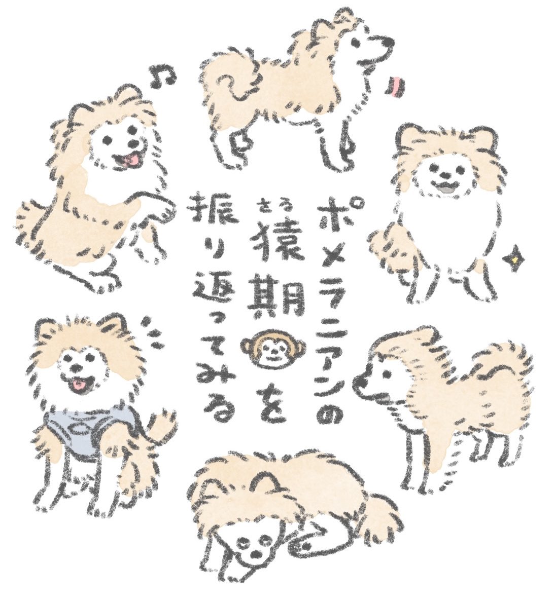 何度も振り返ってしまう、こいぬ時代の猿期🐒
やっぱり魅力的なそのビジュアル!!!! 