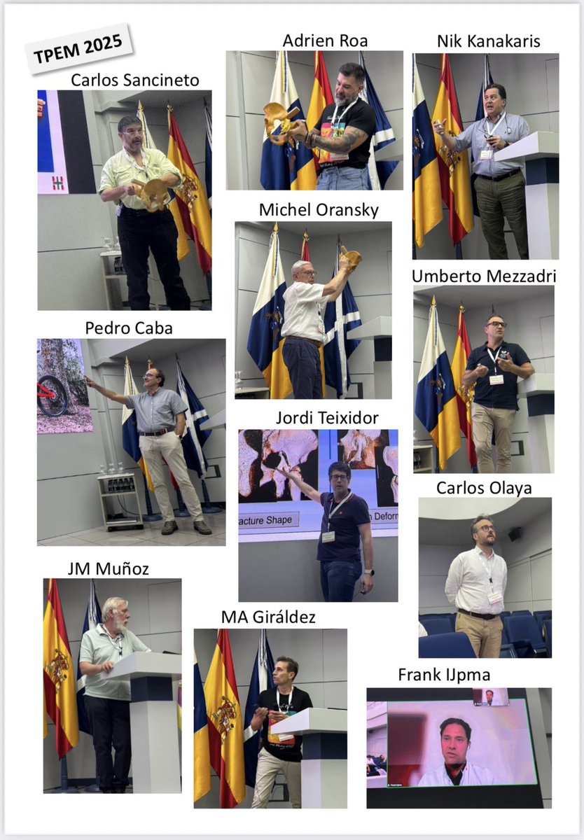 Tenerife Pelvis Expert Meeting tweet media
