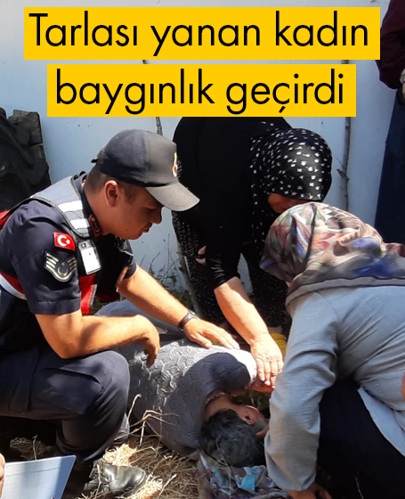 BOLU'DA TARLASI YANAN KADIN FENALIK GEÇİRDİ.. İŞTE DETAYLAR..
bolugazetesi.com.tr/haber/tarlasi-…
