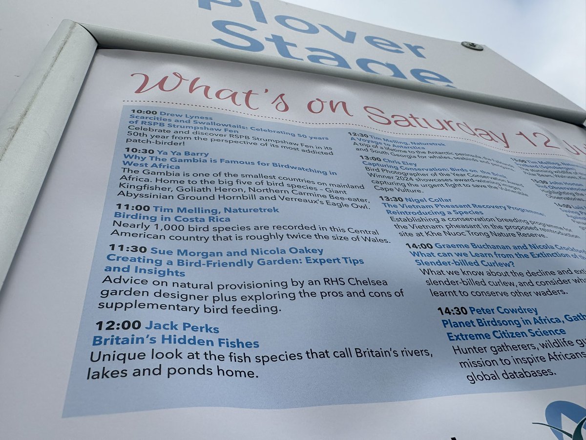 Today at Birdfair I have a talk on British fish plover stage 12pm come stop by!