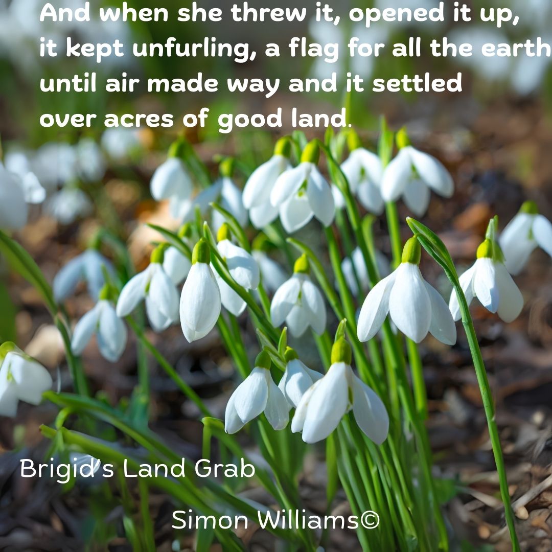InkSweatTears's tweet image. In Brigid's Land Grab, Williams spins a sprawling trickster's tale with strong imagery that ends with promises kept.
Read it here: inksweatandtears.co.uk/simon-williams…
#InkSweatandTears #Poetry #Submission