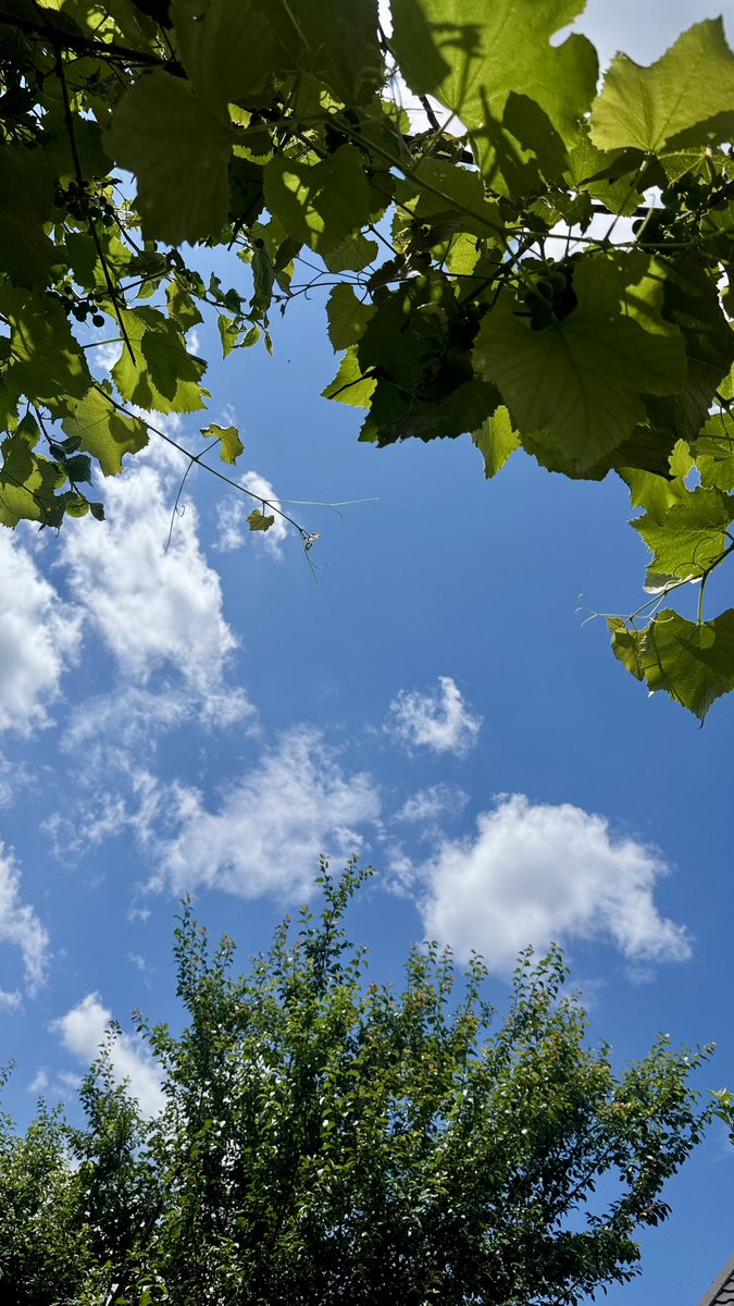 This is where I post from