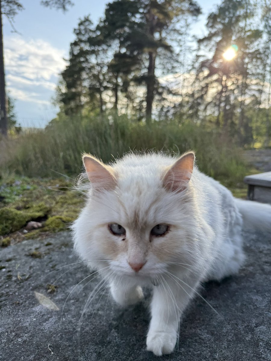 Det här är min ideologi