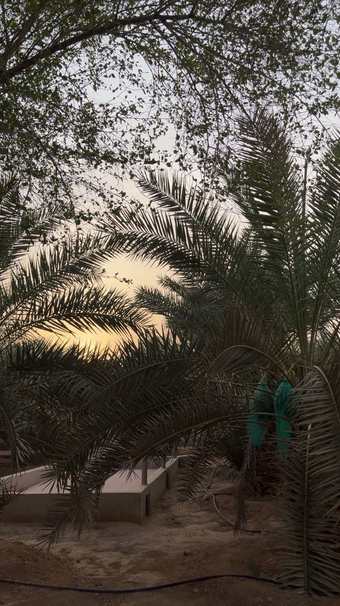 فَجْر (@fajr_m12) on Twitter photo 