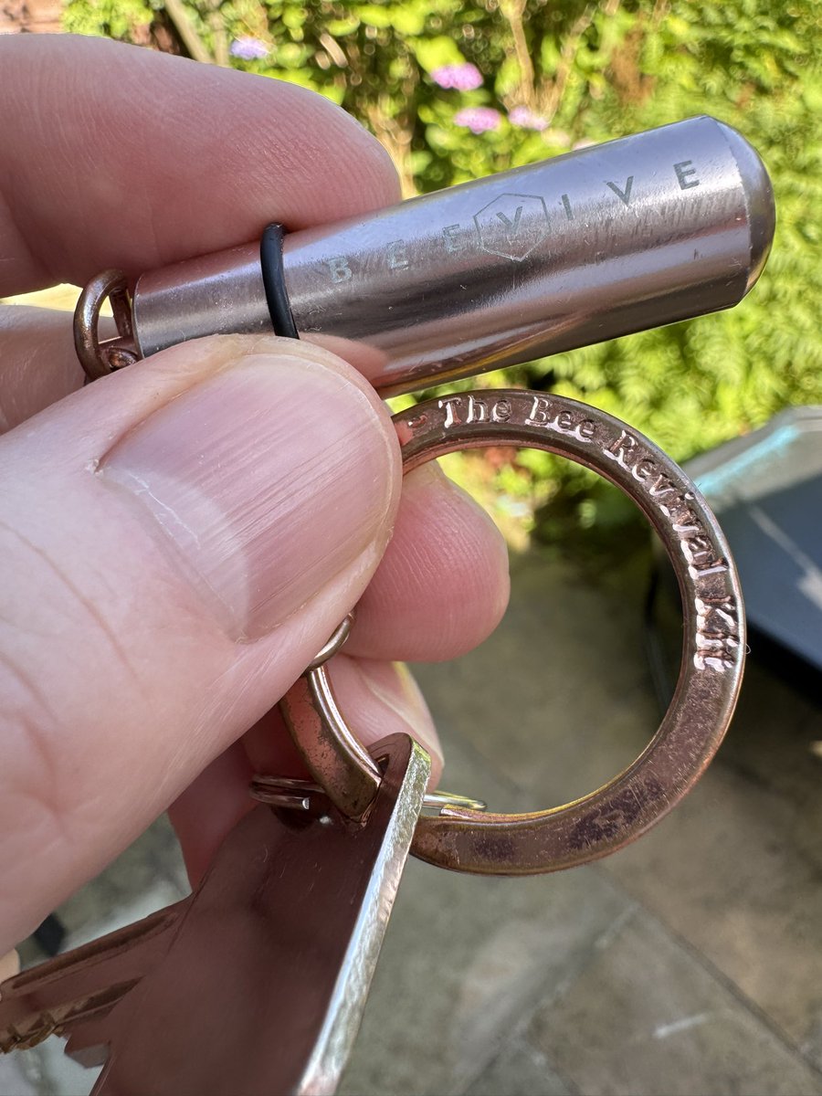 BenHalligan's tweet image. emergency bee revival in the garden, with my troubleshooting @BEEVIVE1 kit... from honeycomatose to back to buzzing. #savethebees