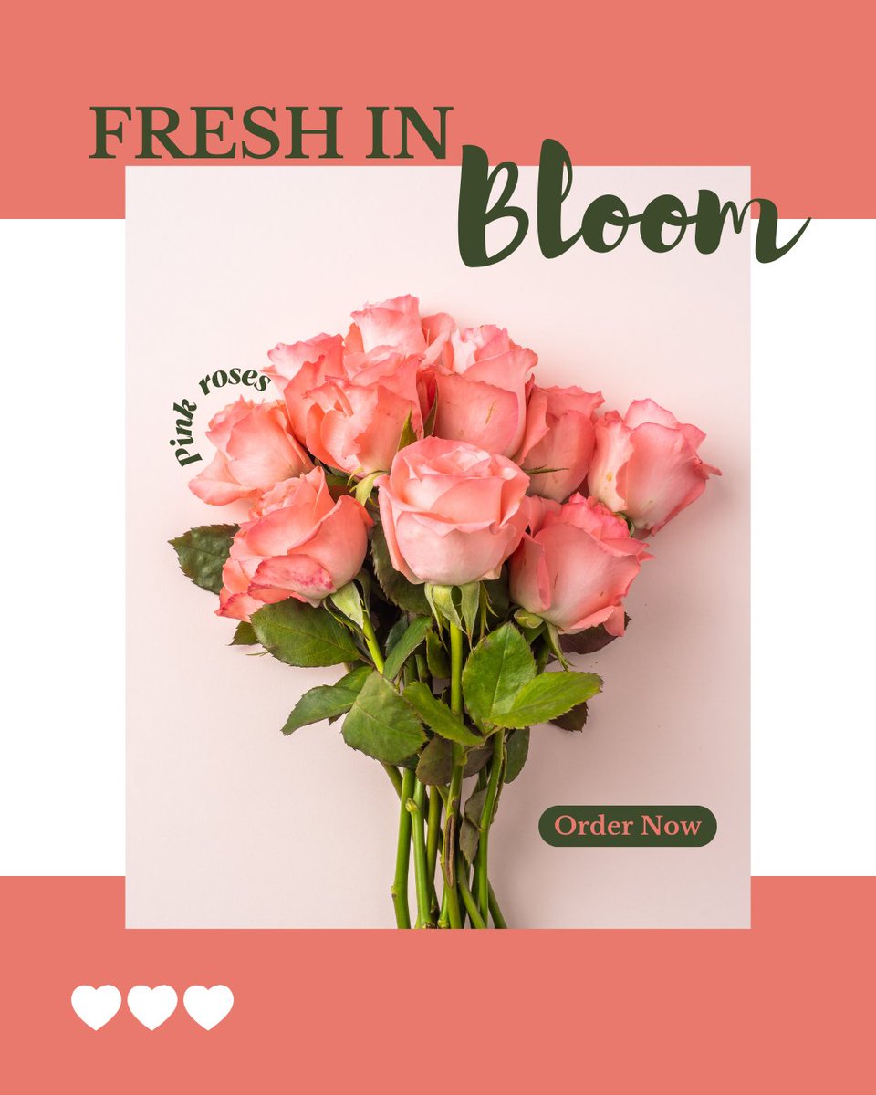 Gulmahalflowers's tweet photo. Fresh in Bloom!
Gorgeous pink roses to brighten up your day!
Now delivering love and beauty in Delhi too!
Order Now and let the flowers do the talking.
#Gulmahal #FreshInBloom #FlowersForYou #DelhiFlorist #PinkRoses #NowInDelhi #OrderNow #FloralMagic https://t.co/r8jb0fq6mt