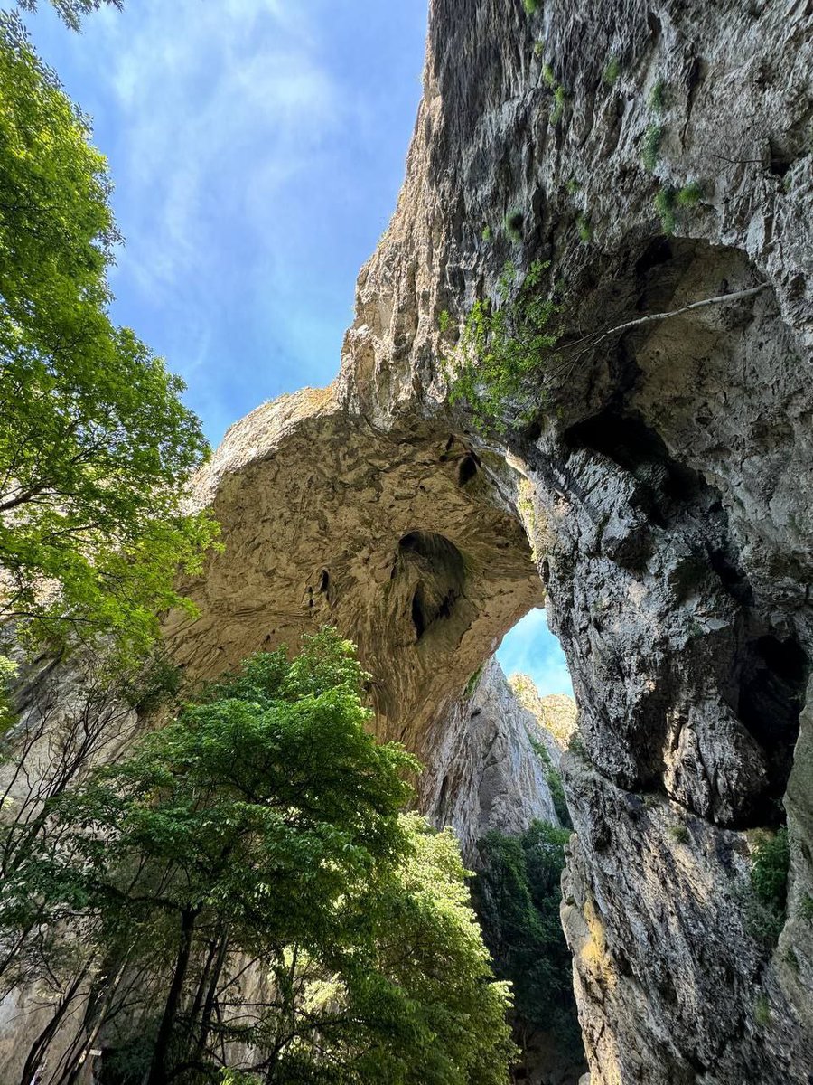 Белград! Мы завтра должны были проходить лёгкий трек с Just Balkans, но пока что боремся за жизнь кота. Может кто-то хочет поехать вместо нас? Каньон Вратне, 12 км, с возможностью искупаться в горной реке. 70 евро с человека. Ссылка на пост в следующем твите