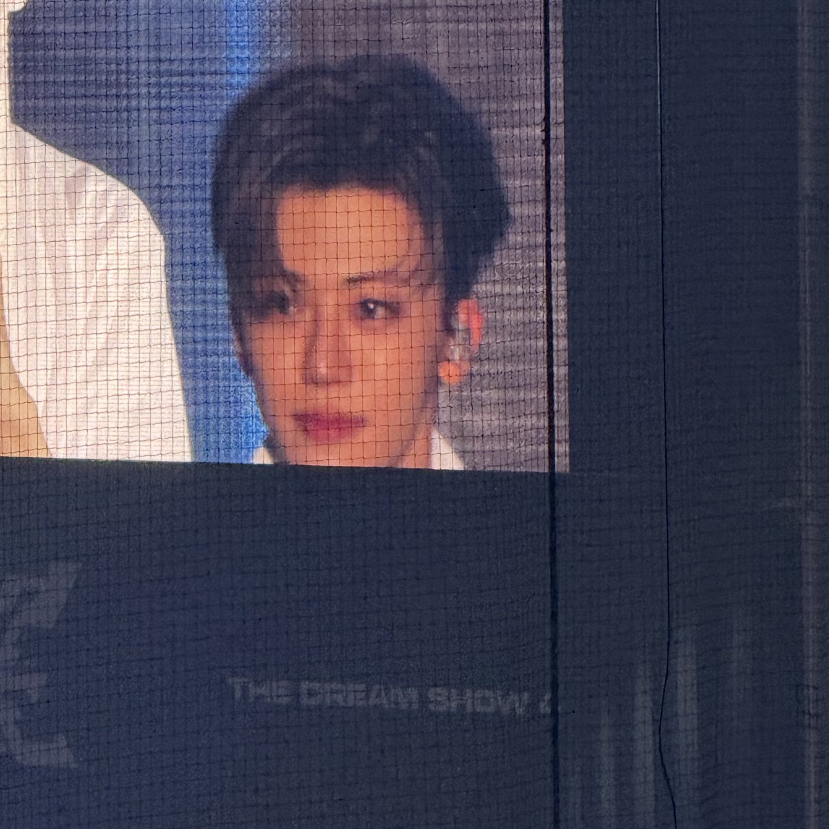 읭... 빼꼼민이 ₍ᐢ ɞ̴̶̷  ̫ ɞ̴̶̷ ᐢ₎