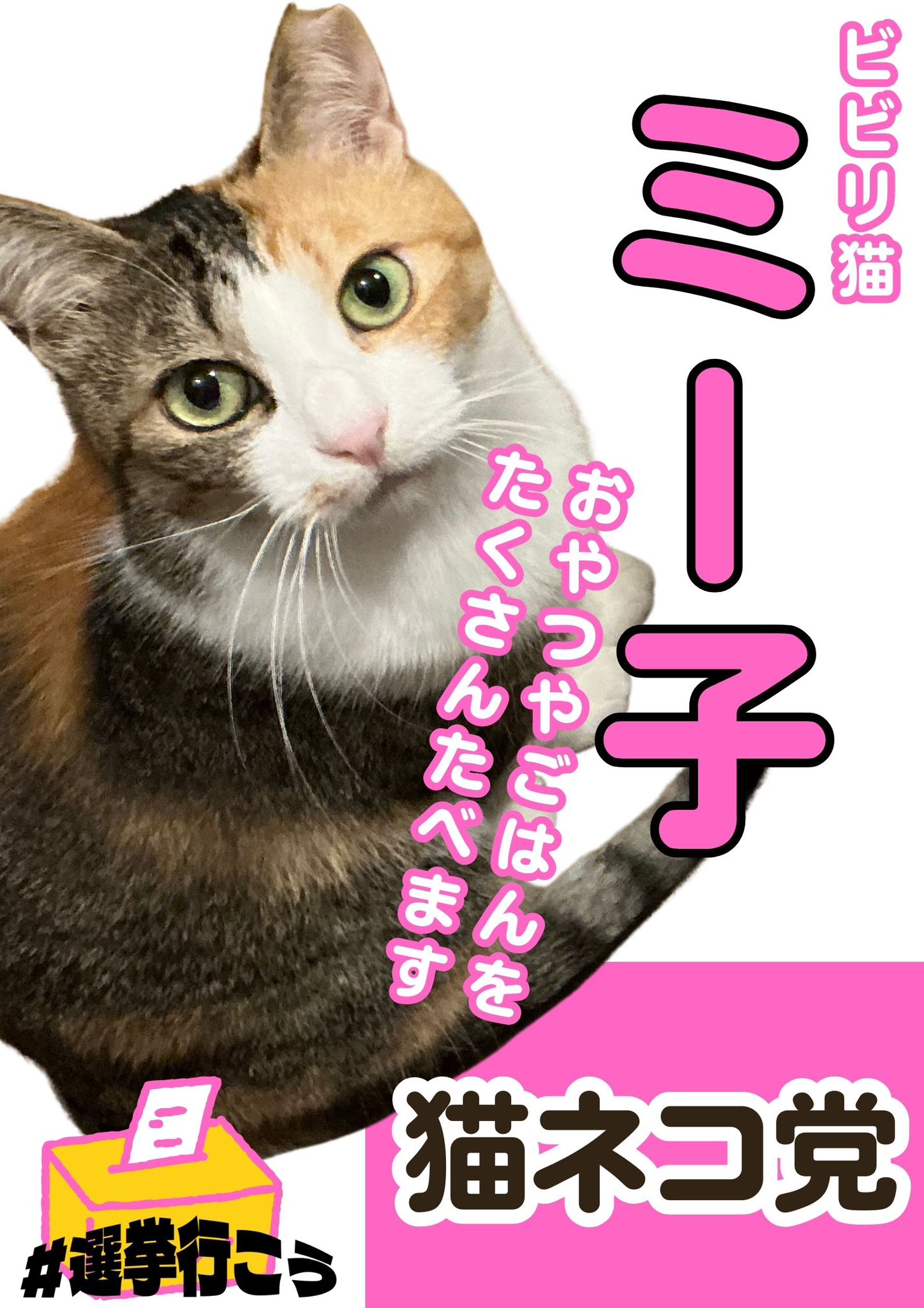 ニャン太桜子🐱 on X: 