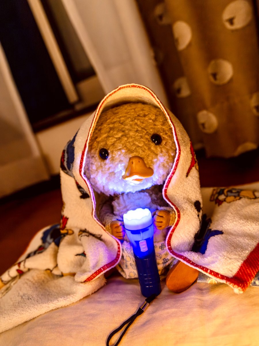 お～や～す～みぃぃぃ〜