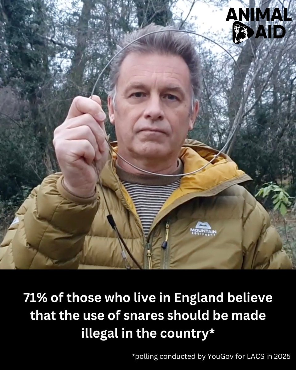 Please share!

The governments of Wales and Scotland banned snares because they are cruel and indiscriminate.⁠
⁠
We need a ban in England now!
⁠
Take action here ➡️ Animalaid.org.uk/SnaresAction⁠
⁠
🦡🐈🦊🐇⁠
⁠
#BanSnares