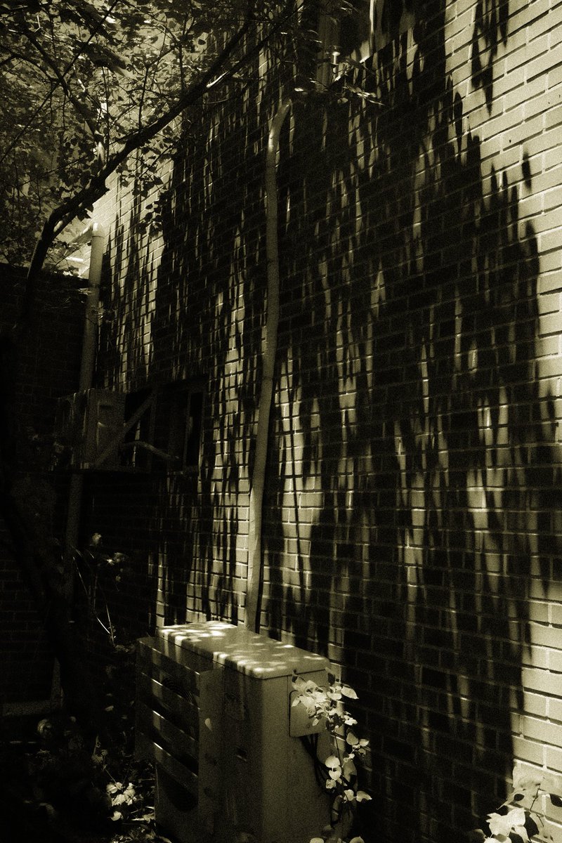 제곱이 (@thesquareoftwo) on Twitter photo 