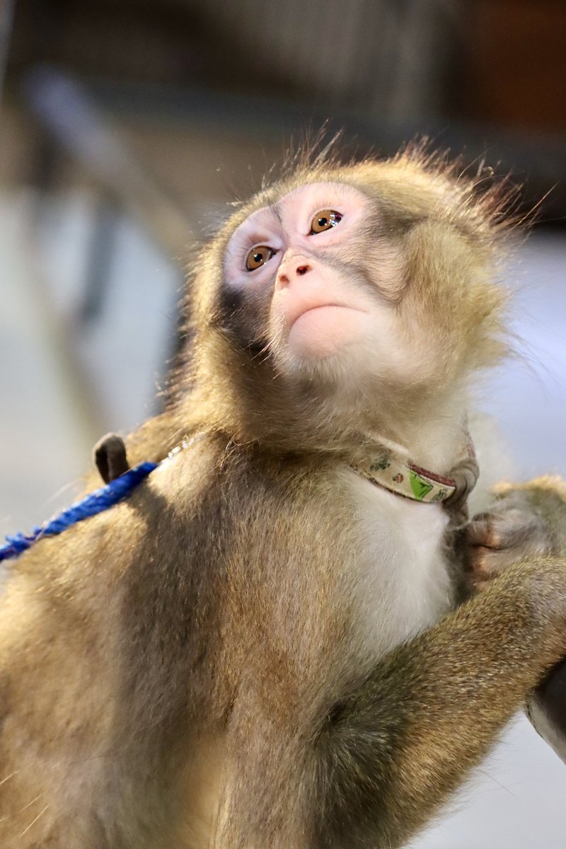 ルーちゃん☆様 ルーちゃん - Search / X