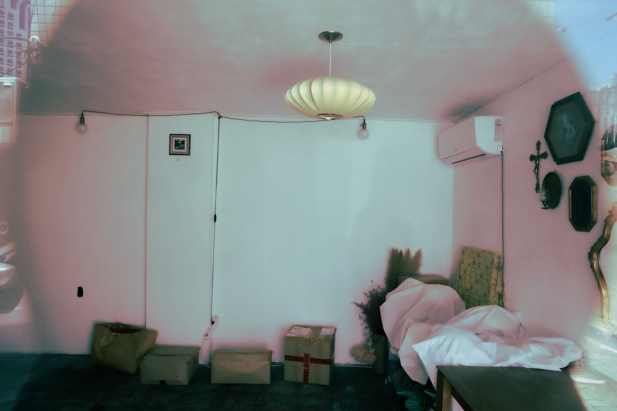 꿈 속에서 본 토끼🐇