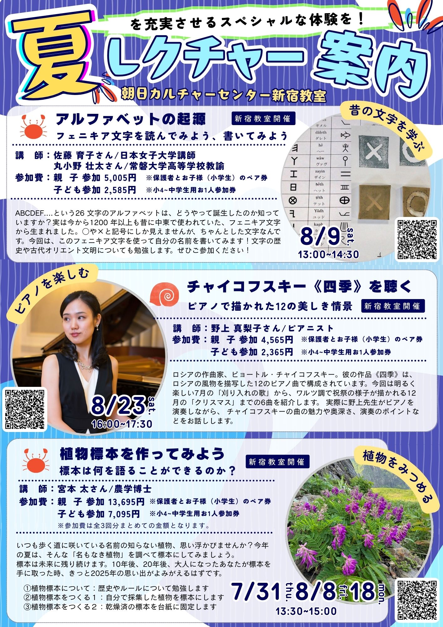 希少 シャール・コシュの「木のテストの解明」 カトリックマリア会日本管区教育部 希少 シャール・コシュの「木のテストの解明」 カトリックマリア
