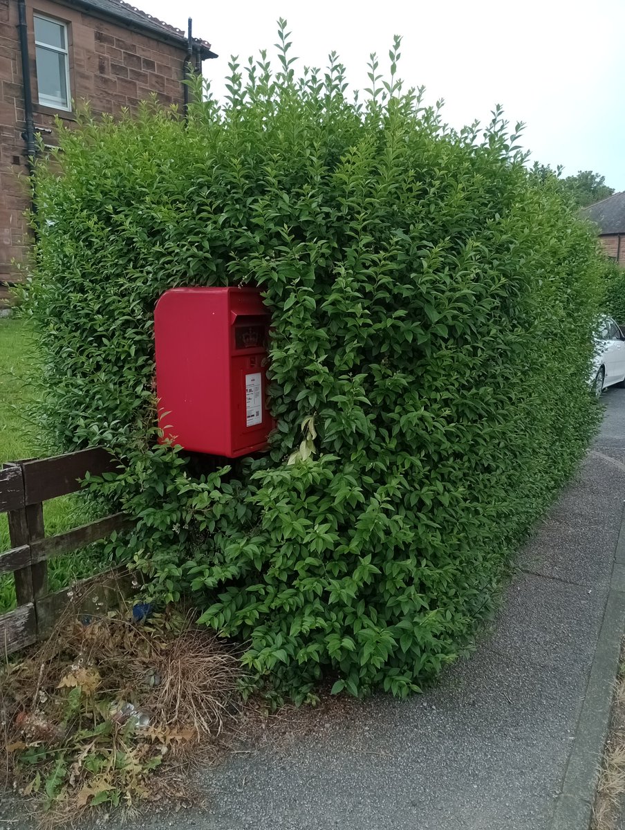 WeePostalMuseum's tweet image. Some postboxes are shy and don't want to be spotted for #PostboxSaturday