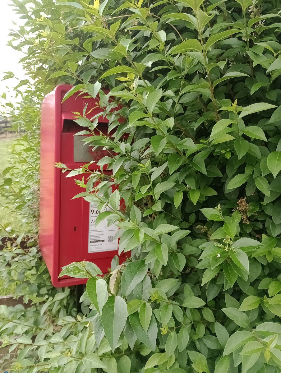 WeePostalMuseum's tweet image. Some postboxes are shy and don't want to be spotted for #PostboxSaturday