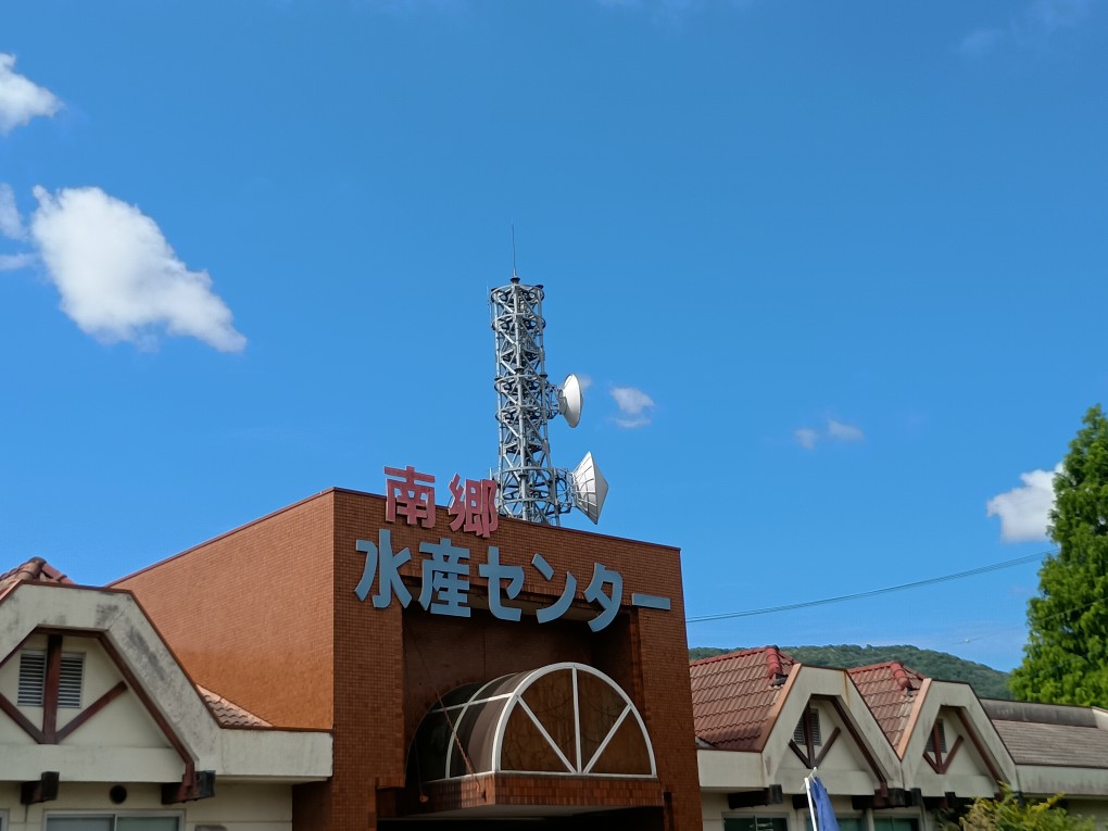 hohonikaze's tweet photo. 58匹釣って叫びたい🎣
58th SHOUTしたいが為に
今年3回目のおさかなパラダイスで鯉釣り
#南郷水産センター
とんでもなくめちゃんこ暑いなか
1匹目を釣った9:40以降は
淡々と作業の如く無心で釣りまくり
迎えた12:49に58thを達成
小声でシャウトしガッツポーズしてみた
ミッション達成🫡
#58thSHOUT https://t.co/n110XZAml3