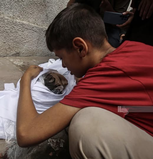 WitoWitowito71's tweet image. 😢😢😢 #GazaGenocide