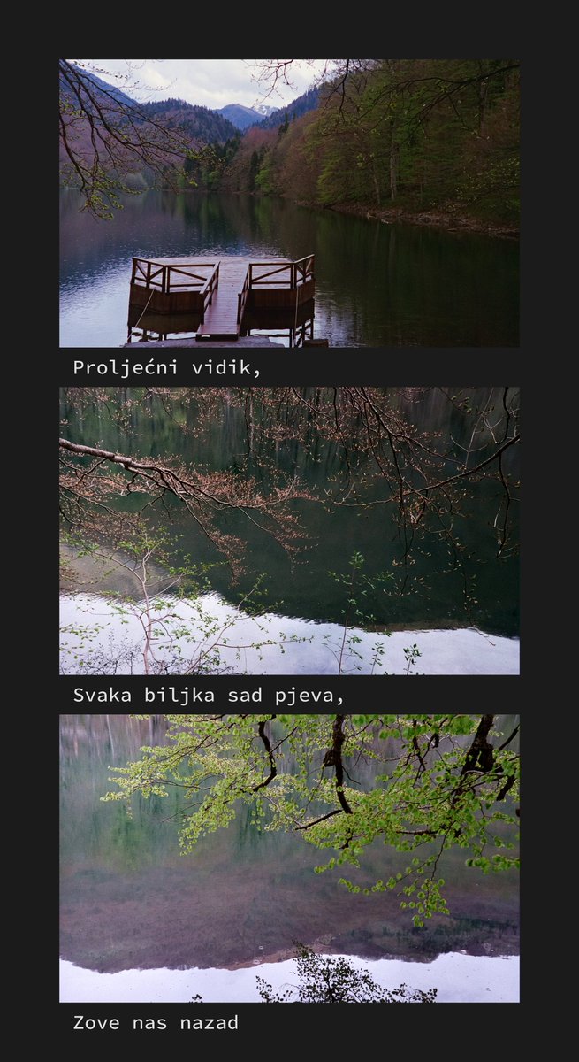 thePrettyProof's tweet photo. A springtime vista,
All plants are singing to us,
Calling us back home.

#photography #micropoetry
#photopoem

This one is for spring, I try to make one for each season!

I have 3 so far! Gmmmmmm!

🐟🦎🪲🕸️🌲🍃🍄✨✨
GM! https://t.co/hr0xOicaZo