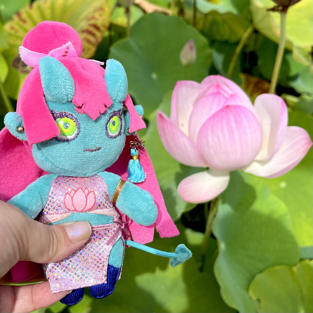 市内の蓮が見れる公園に行って来ました🪷
見頃は先週だったかも