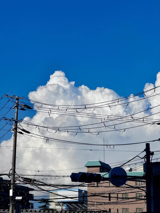 めちゃ夏の雲だ、夏の雲が1番好きだ