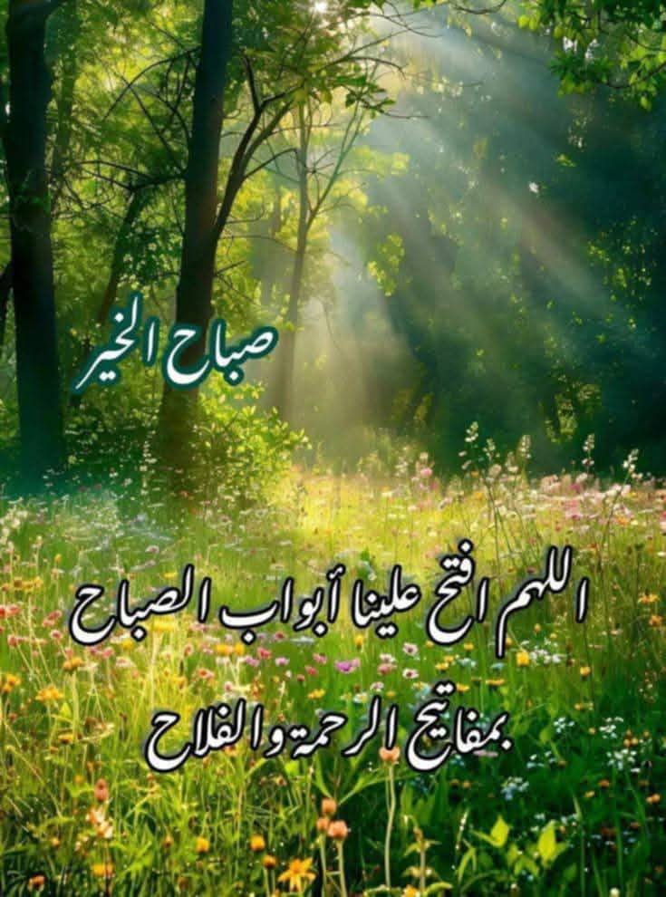 السلام عليكم و رحمة الله و بركاته