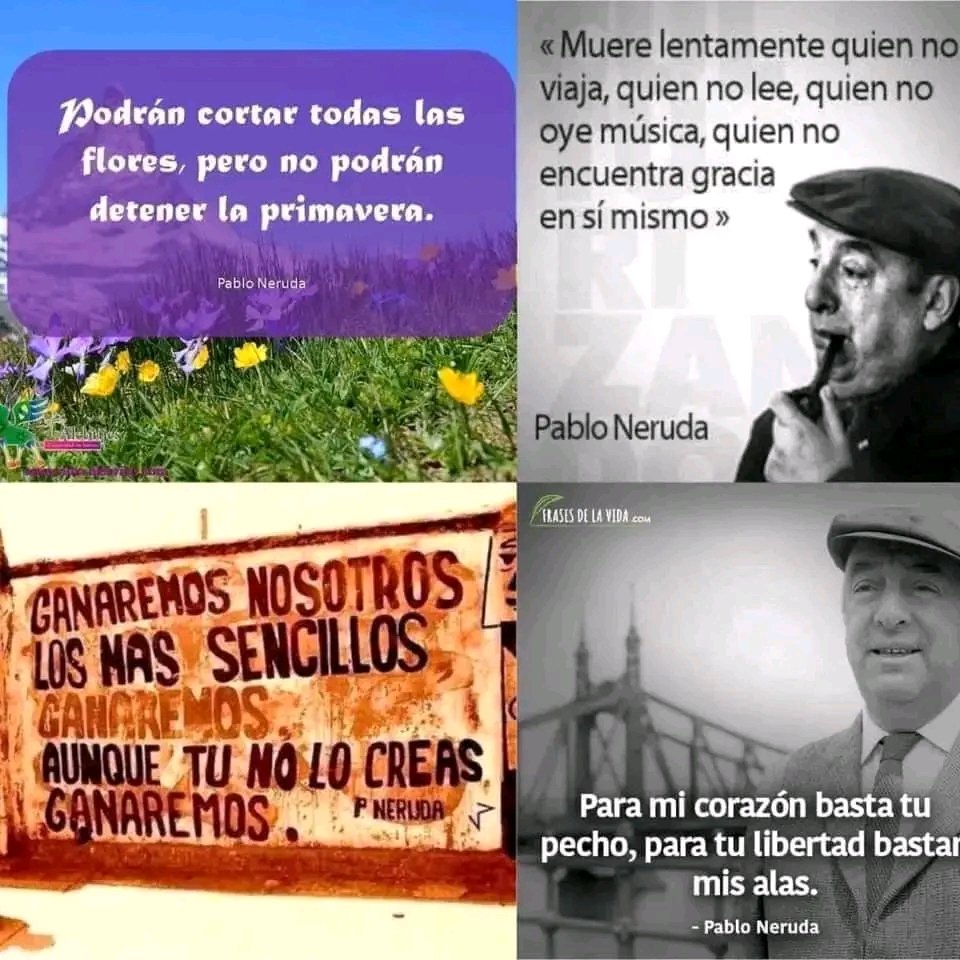 CulturaCcoo's tweet photo. "Podrán cortar todas las flores, pero no podrán detener la primavera".

"Muere lentamente 
quien no viaja, 
quien no lee,
quien no escucha música,
quien no encuentra gracia en si mismo”

#TalDiaComoHoy 
nacía el gran Pablo Neruda 

#CitaCultural #Neruda https://t.co/bISuJgO1AI