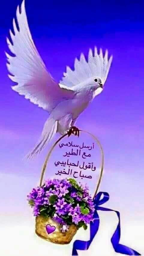 <a href="/htwmy152/">حتومي 💕</a> نحن وإياكم يارب العالمين 
صباح الورد والياسمين
