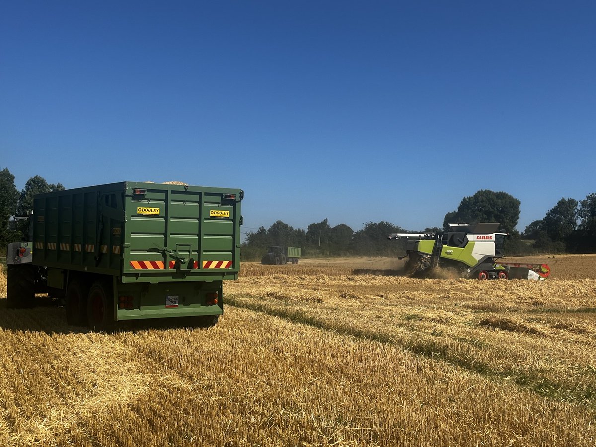 Last of the winter barely getting the chop this morning. With droughts getting more frequent and input cost continuing to rise we need a carbon tax or levy on imported feed grains or else we will have no native grain producers left.
