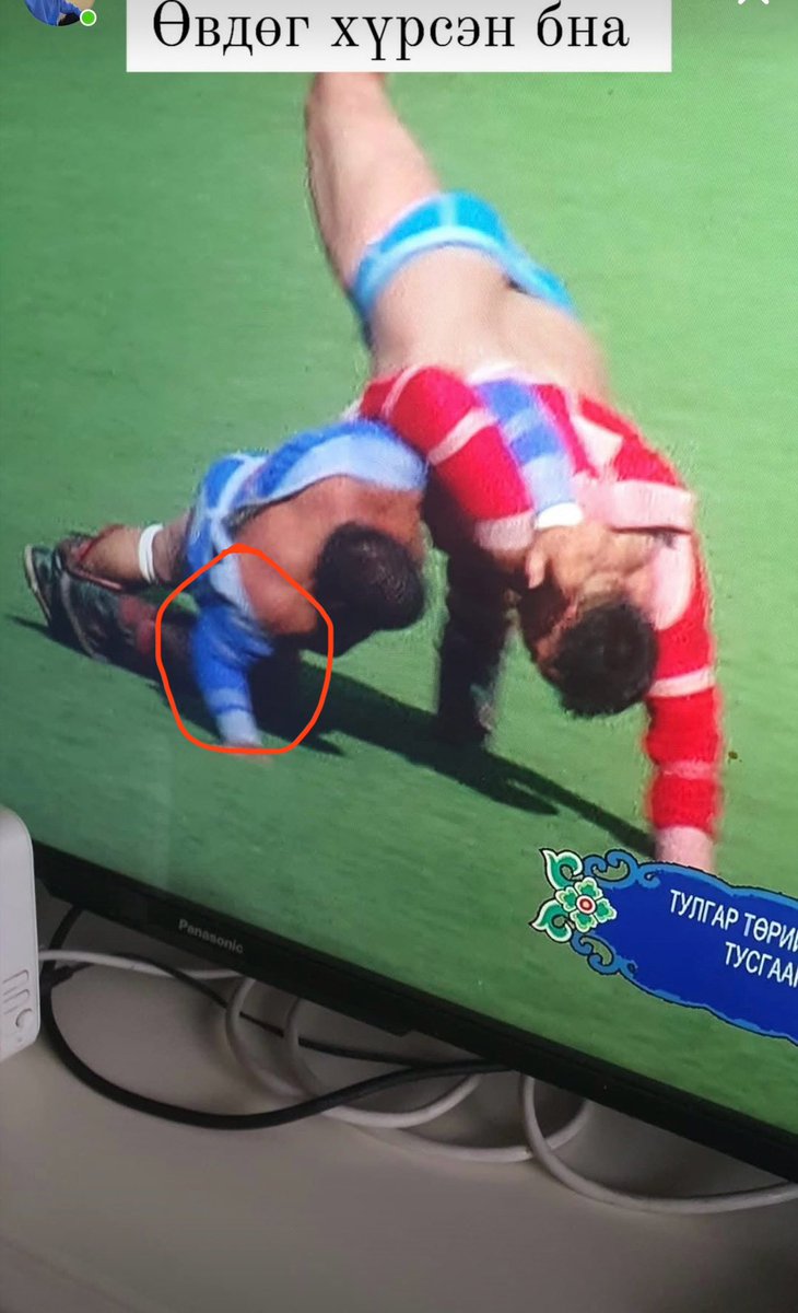 Бүрэнтөгс аварга давжээ.