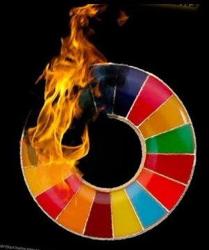 Klimawandel zeigt Wirkung beim WEF