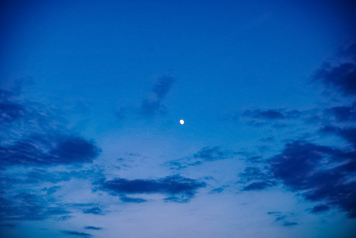 𝓴𝓸𝓰𝓪𝔂𝓪. tweet media