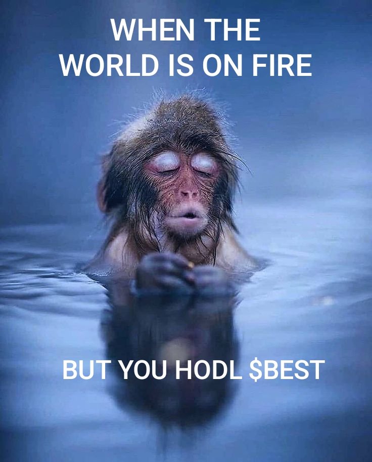 FilioGat (@filiogatsi14059) on Twitter photo The market can melt, chains can rage, but I'm chilling.
Because I trust <a href="/BestWalletHQ/">Best Wallet</a> and I HODL $BEST — multichain, secure, fast, and actually built for the chaos.
This is what Web3 peace looks like. The market can melt, chains can rage, but I'm chilling.
Because I trust <a href="/BestWalletHQ/">Best Wallet</a> and I HODL $BEST — multichain, secure, fast, and actually built for the chaos.
This is what Web3 peace looks like.
