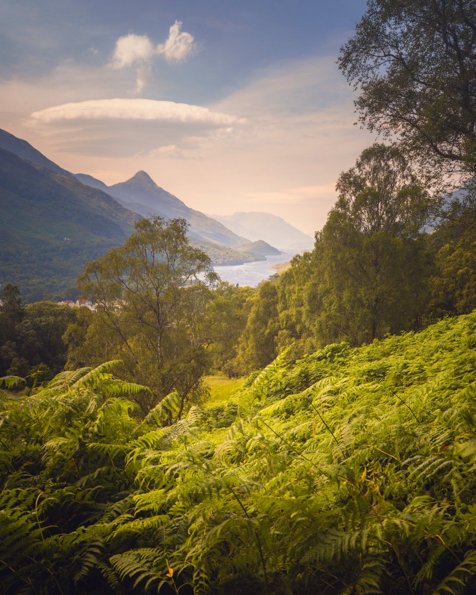 DamianShields1's tweet image. Loch Leven from Kinlochmore #Scotland #Kinlochleven #Lochaber damianshields.com