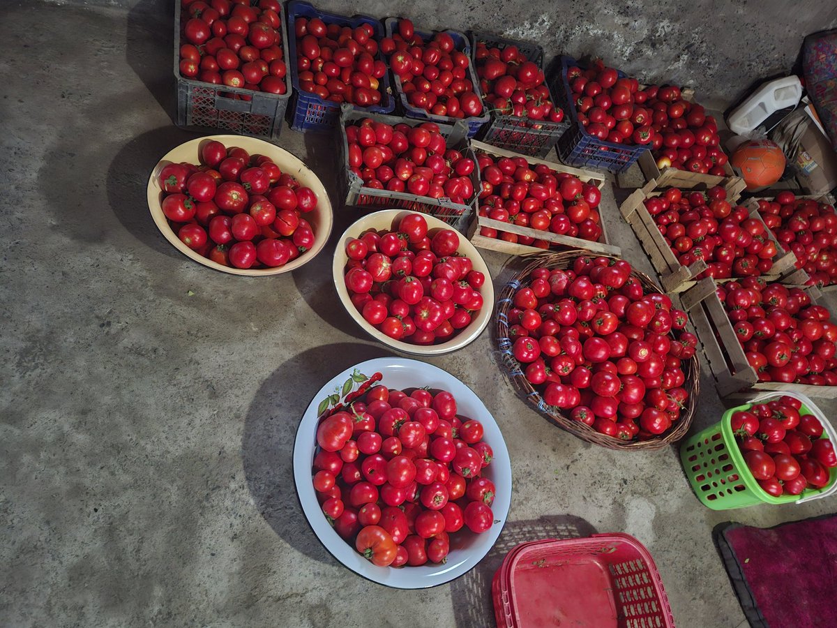 Qishloq mezza sokin, tinchlik