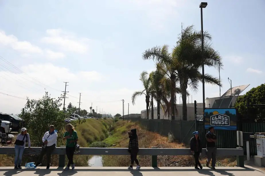 lequotidien509's tweet image. 🇺🇸Un ouvrier agricole est mort vendredi après avoir été blessé la veille lors d’une descente de la police de l’immigration près de Los Angeles, dans des fermes légales de cannabis où des affrontements entre agents et manifestants ont eu lieu.#ImmigrationUSA #Californie #Trump