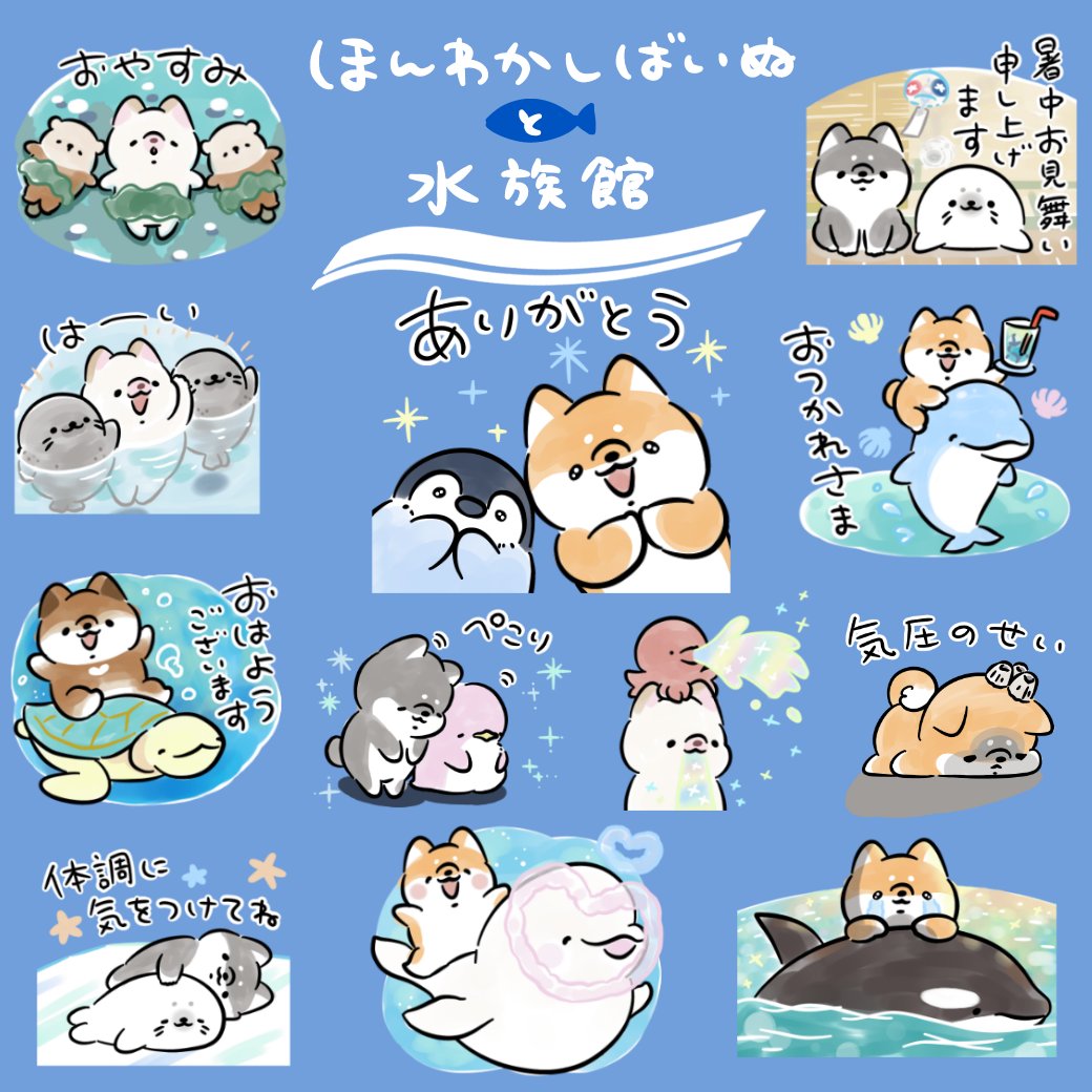 ほんわかしばいぬ (@honwakashibainu) / Posts / X