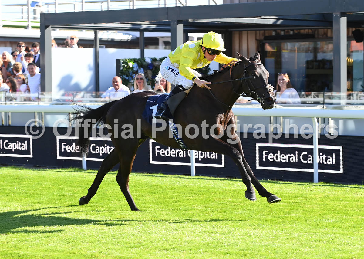 OfficialPhotographers (@offphoto) on Twitter photo Sir Albert & <a href="/_JasonWatson/">Jason Watson</a> win at Chester for trainer <a href="/AndrewBalding2/">Andrew Balding</a> and owner Mrs A Althani. Check out all the official photographs at onlinepictureproof.com/officialphotog… <a href="/coolmorestud/">Coolmore</a> Sir Albert & <a href="/_JasonWatson/">Jason Watson</a> win at Chester for trainer <a href="/AndrewBalding2/">Andrew Balding</a> and owner Mrs A Althani. Check out all the official photographs at onlinepictureproof.com/officialphotog… <a href="/coolmorestud/">Coolmore</a>