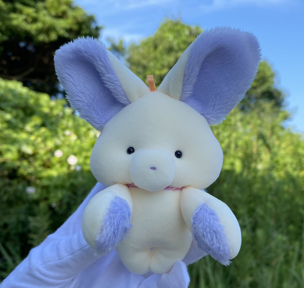 水色ちゃんと、アイボリーちゃんのお顔😊

#たるたにあん
#ハンドメイドぬいぐるみ