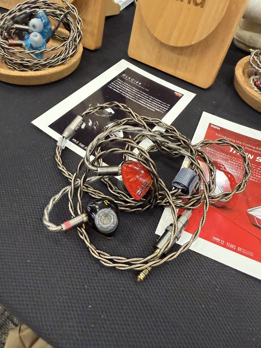 DUNU 242

davinciオーナーさん買い増す？