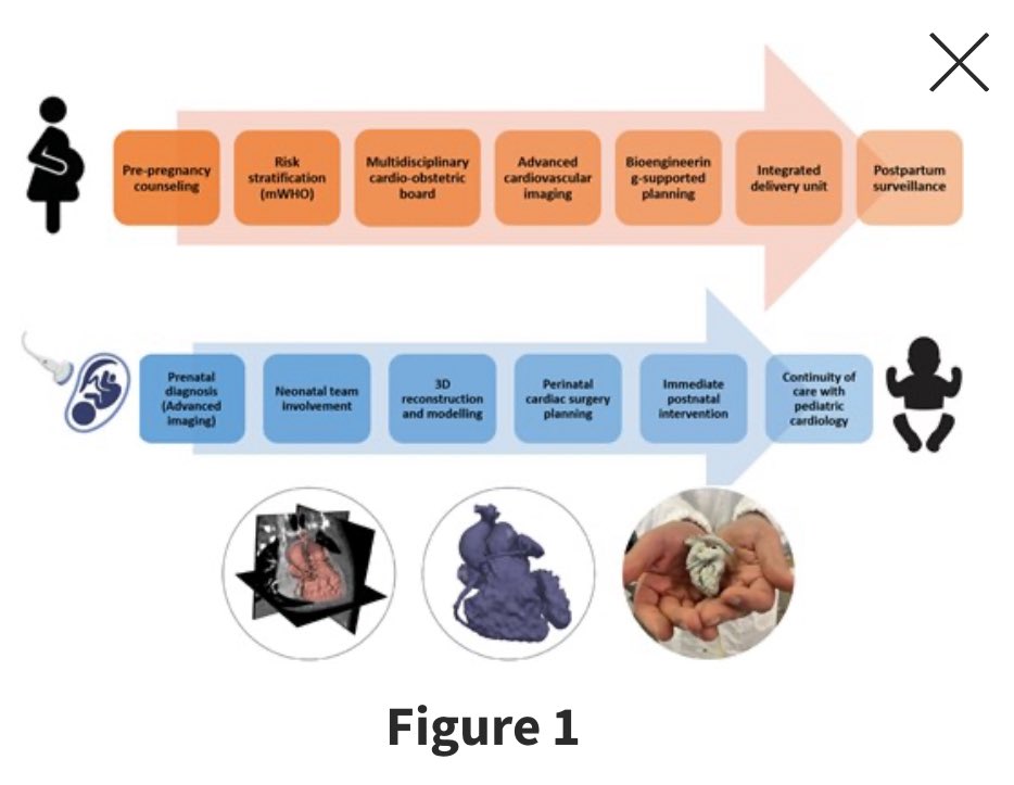 EHJ-IMP Editor-in-Chief (@ehjimpeic) on Twitter photo 🔥🔥 Hot off the press 🔥🔥
The evolving landscape of #cardioobstetrics requires structured, multidisciplinary, and technologically integrated models of care. Read how ➡️ academic.oup.com/ehjimp/article… <a href="/ESC_Journals/">European Society of Cardiology Journals</a> <a href="/escardio/">European Society of Cardiology</a> <a href="/alessia_gimelli/">Alessia Gimelli</a> <a href="/EACVIPresident/">EACVI President</a> <a href="/EZancanaroMD/">Edoardo Zancanaro MD</a> 🔥🔥 Hot off the press 🔥🔥
The evolving landscape of #cardioobstetrics requires structured, multidisciplinary, and technologically integrated models of care. Read how ➡️ academic.oup.com/ehjimp/article… <a href="/ESC_Journals/">European Society of Cardiology Journals</a> <a href="/escardio/">European Society of Cardiology</a> <a href="/alessia_gimelli/">Alessia Gimelli</a> <a href="/EACVIPresident/">EACVI President</a> <a href="/EZancanaroMD/">Edoardo Zancanaro MD</a>