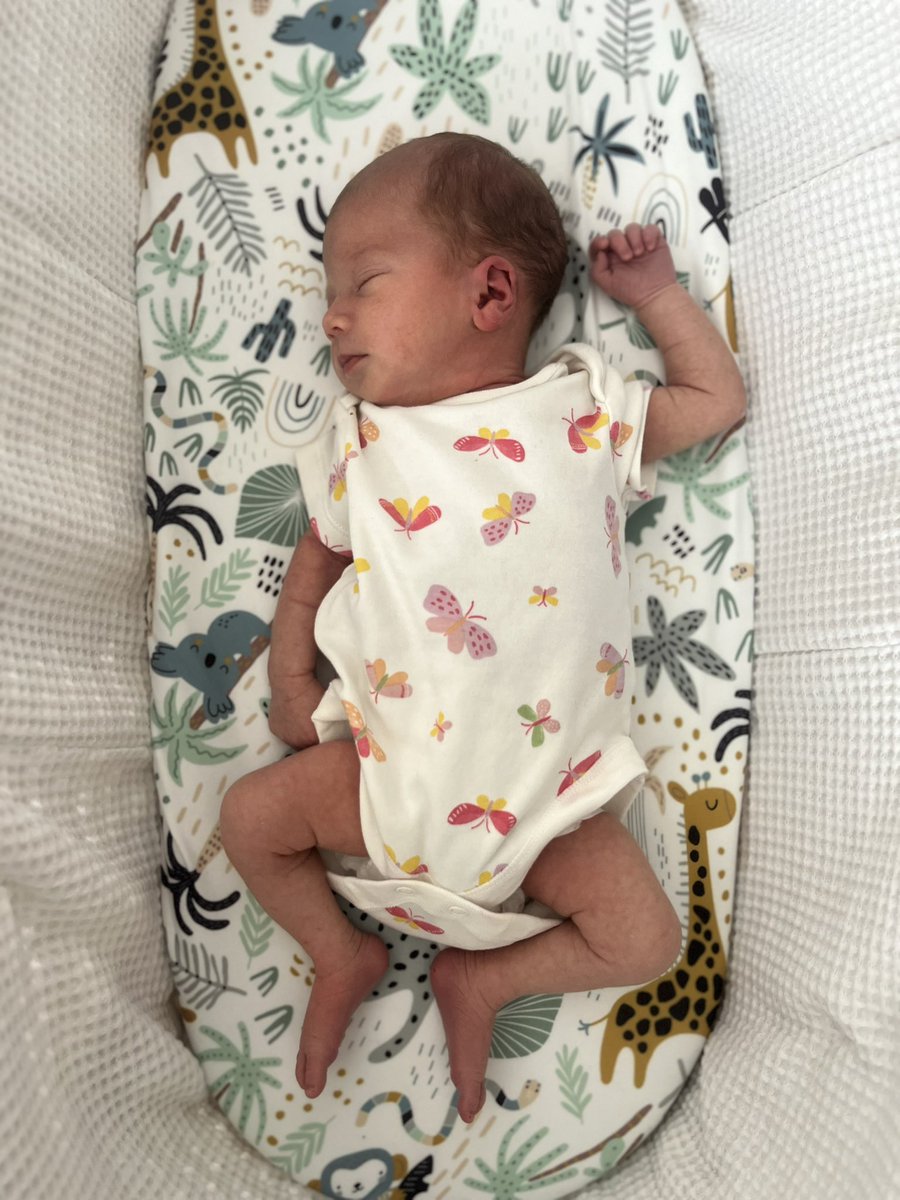 Fawn Harrad-Hyde tweet media