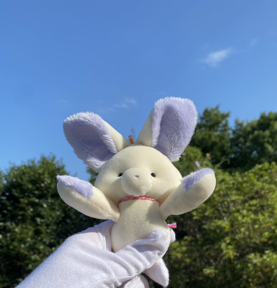 写真がなんだか暗い！
なかなか上手に撮れません！

光よ！

#たるたにあん
#ハンドメイドぬいぐるみ