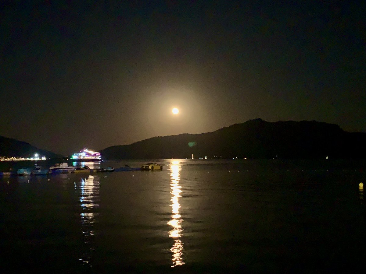 Hontoni_netai's tweet image. トルコにいる！🇹🇷
