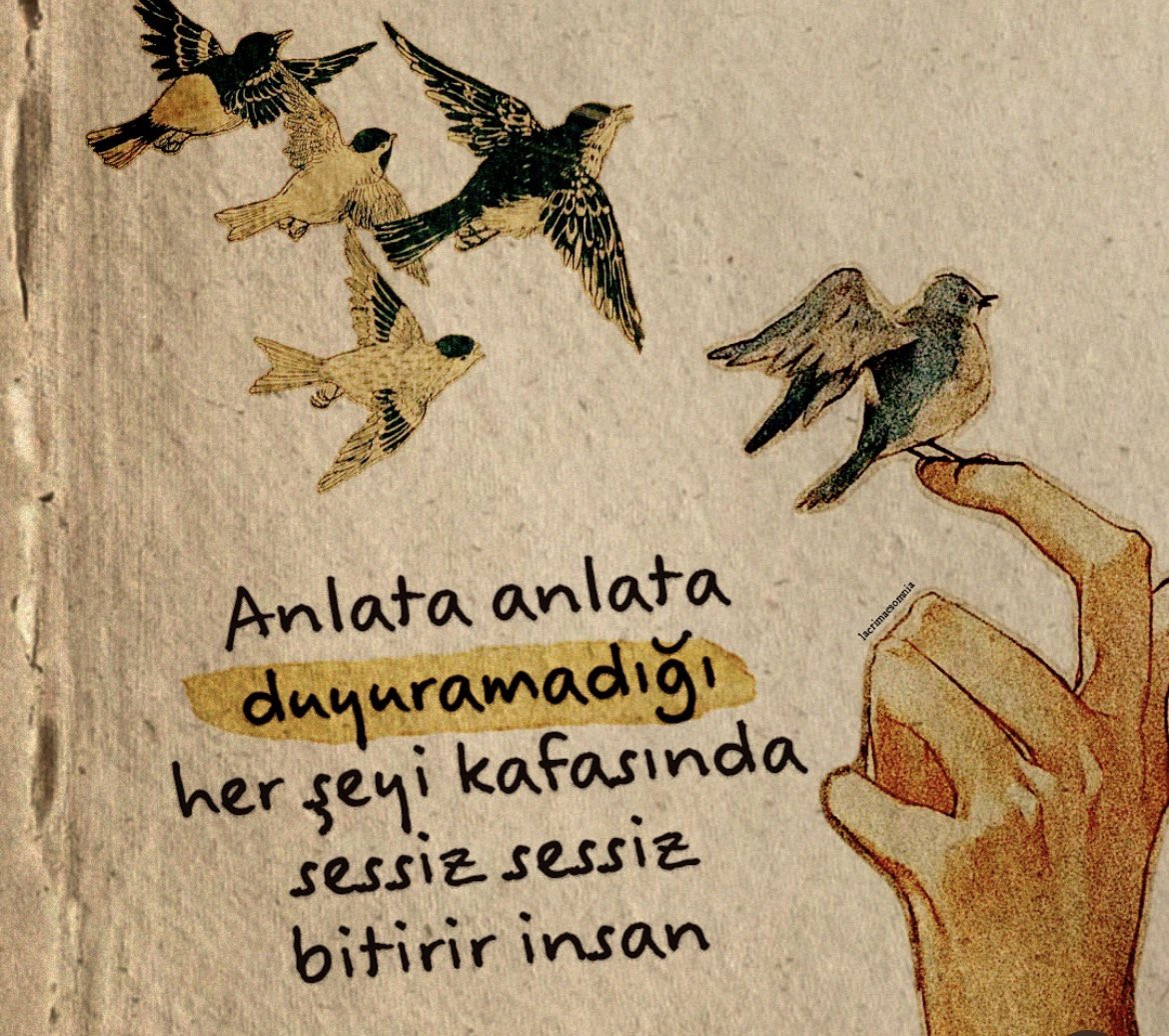 10/10 Bilgi Seli (@ononbilgiselim) on Twitter photo 